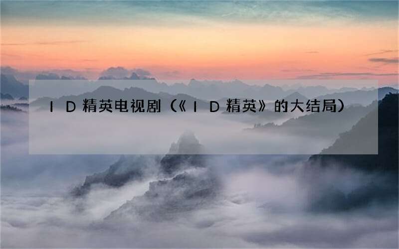 ID精英电视剧（《ID精英》的大结局）