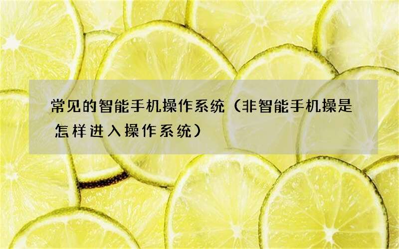 常见的智能手机操作系统（非智能手机操是怎样进入操作系统）
