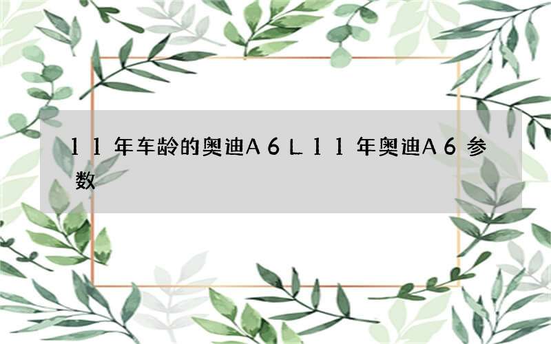 11年车龄的奥迪A6L 11年奥迪A6参数