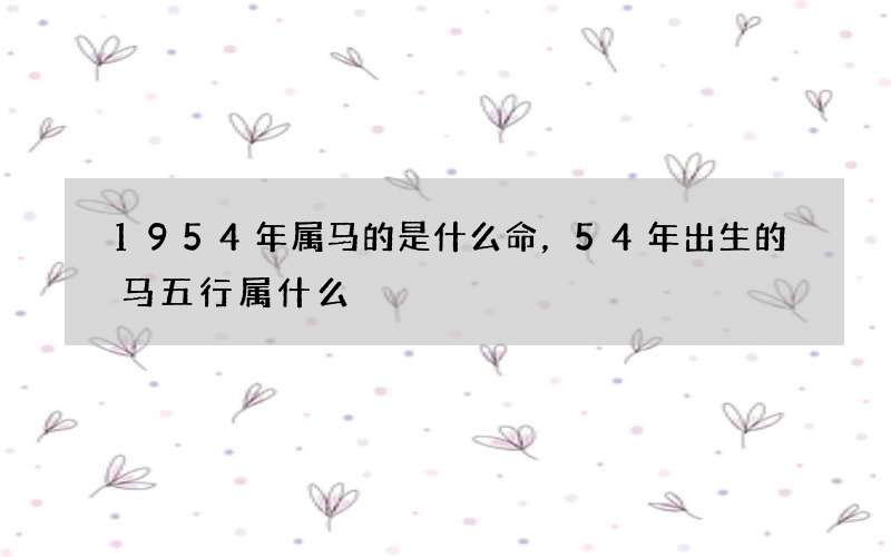 1954年属马的是什么命，54年出生的马五行属什么