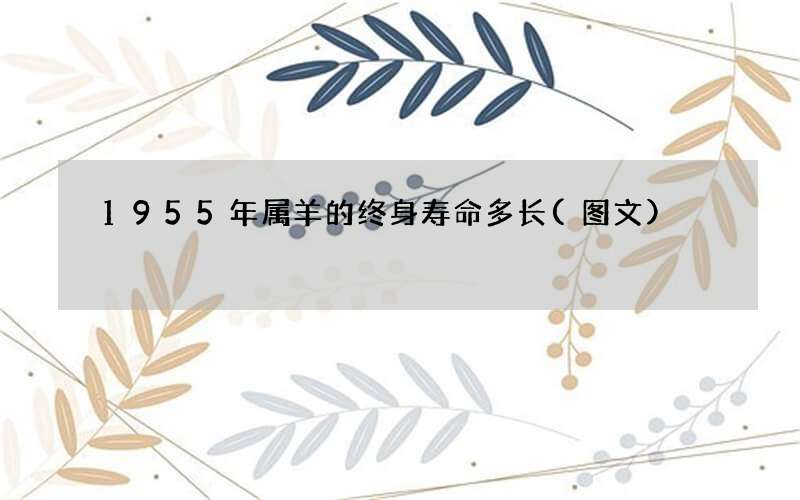 1955年属羊的终身寿命多长(图文)