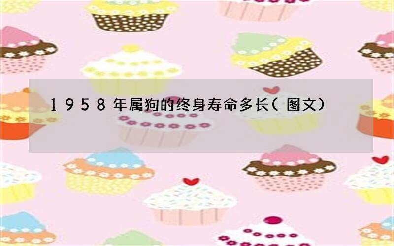 1958年属狗的终身寿命多长(图文)