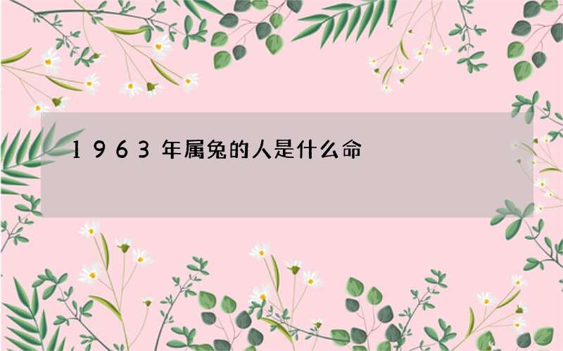 1963年属兔的人是什么命