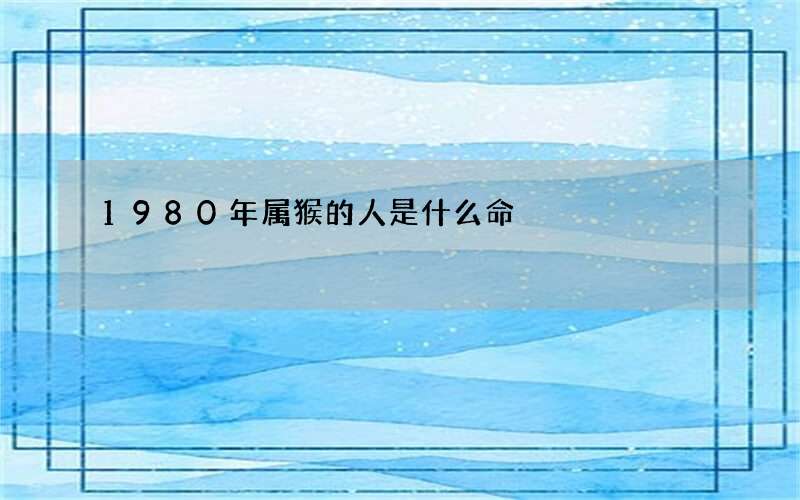 1980年属猴的人是什么命