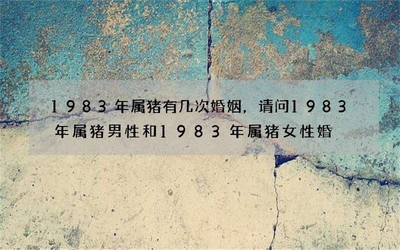 1983年属猪有几次婚姻，请问1983年属猪男性和1983年属猪女性婚