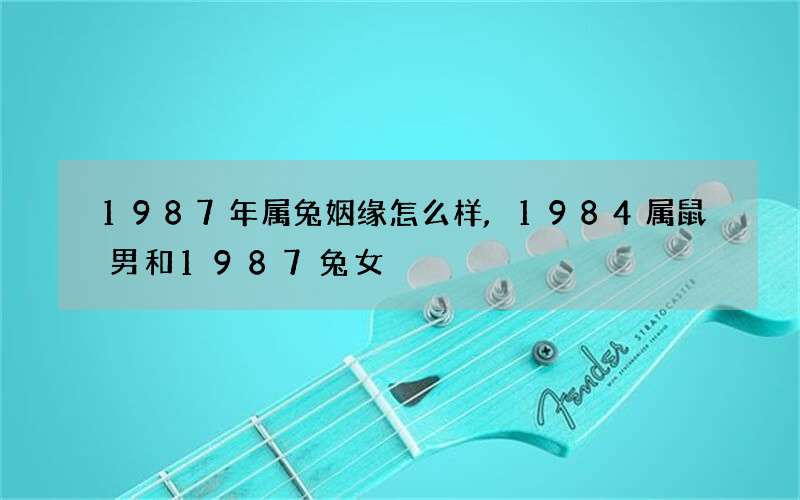 1987年属兔姻缘怎么样,1984属鼠男和1987兔女
