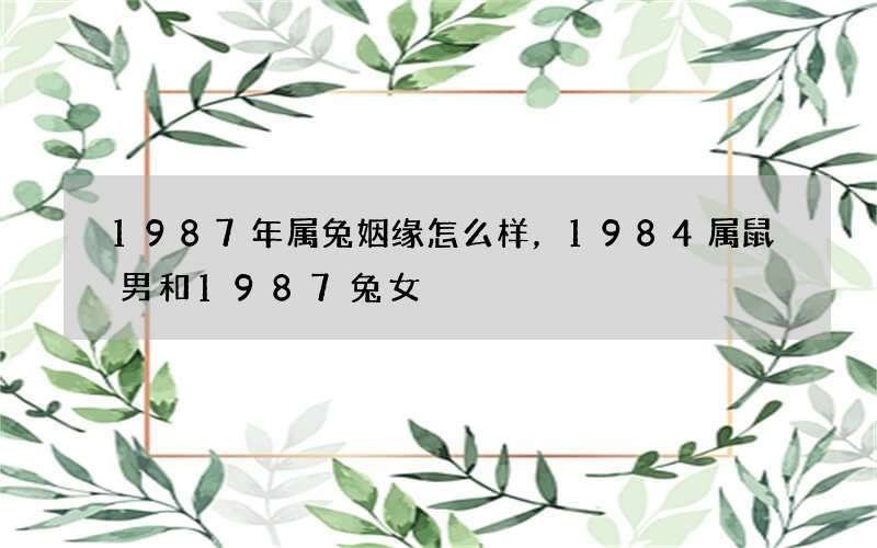 1987年属兔姻缘怎么样，1984属鼠男和1987兔女