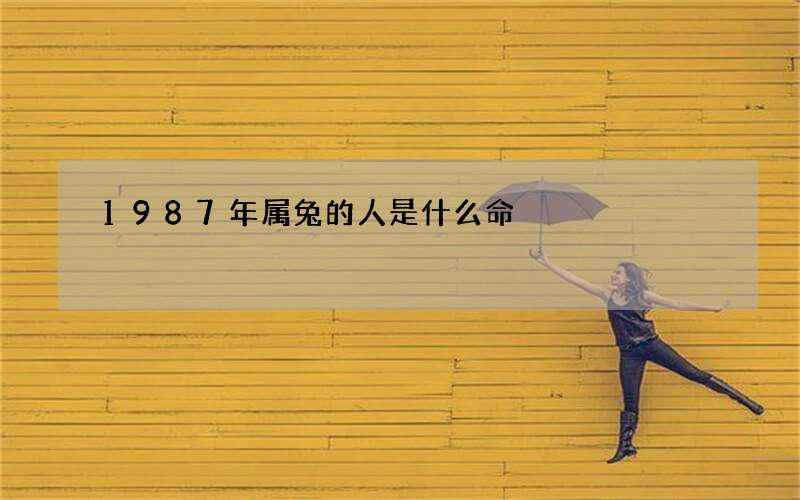 1987年属兔的人是什么命