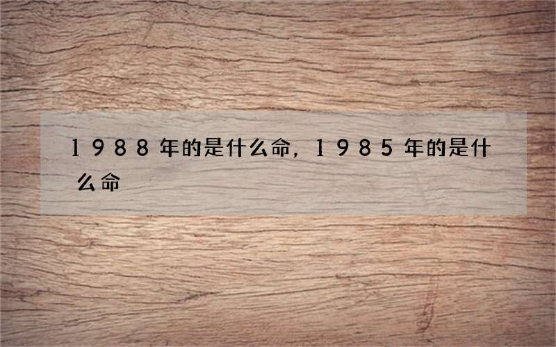 1988年的是什么命，1985年的是什么命