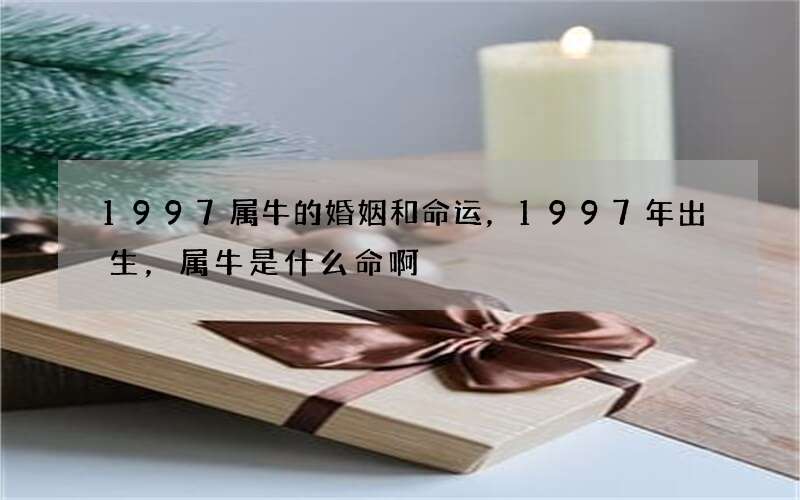 1997属牛的婚姻和命运，1997年出生，属牛是什么命啊