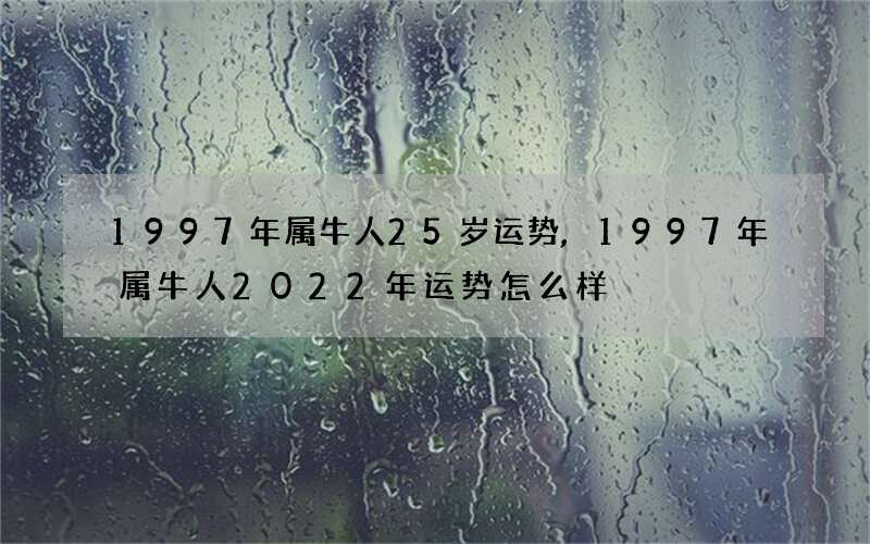 1997年属牛人25岁运势,1997年属牛人2022年运势怎么样