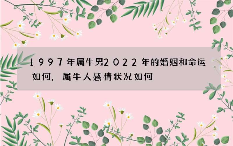 1997年属牛男2022年的婚姻和命运如何,属牛人感情状况如何