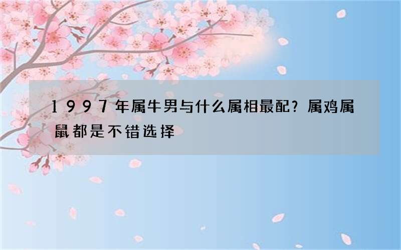 1997年属牛男与什么属相最配？属鸡属鼠都是不错选择
