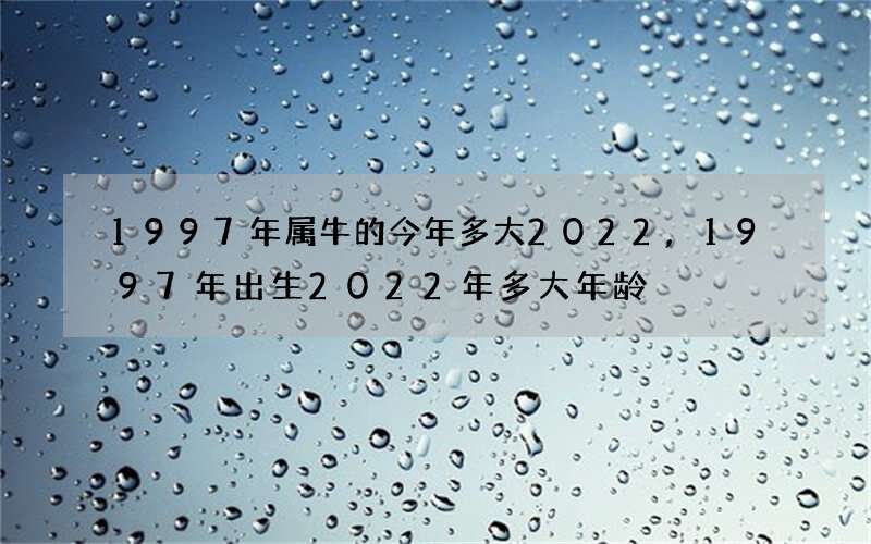 1997年属牛的今年多大2022,1997年出生2022年多大年龄