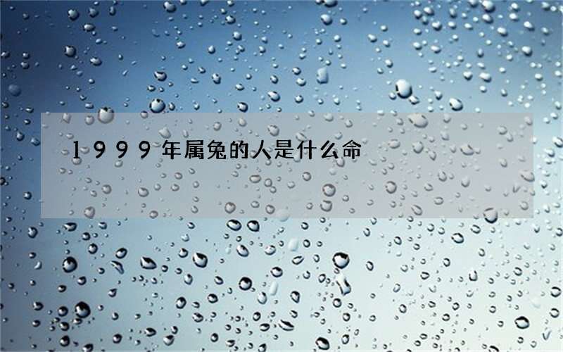1999年属兔的人是什么命