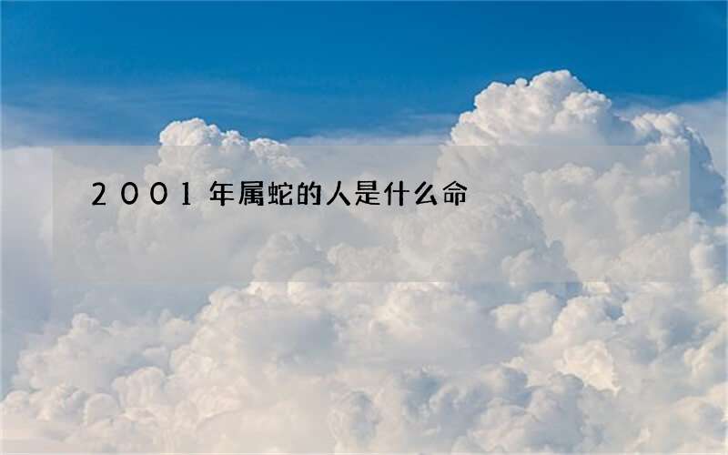 2001年属蛇的人是什么命
