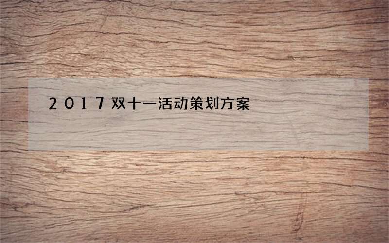 2017双十一活动策划方案