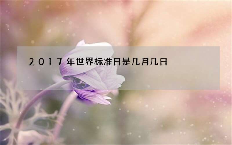 2017年世界标准日是几月几日