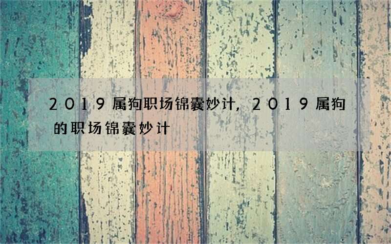 2019属狗职场锦囊妙计,2019属狗的职场锦囊妙计