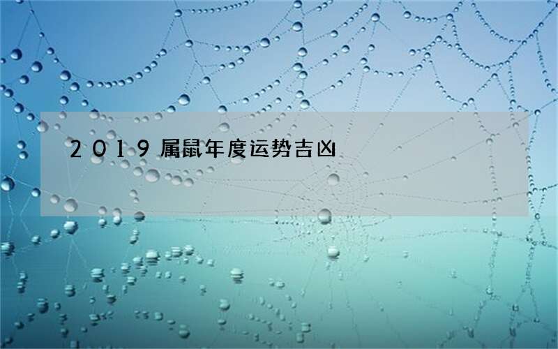 2019属鼠年度运势吉凶