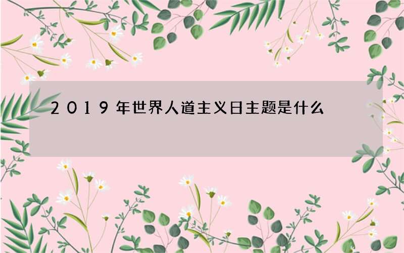 2019年世界人道主义日主题是什么