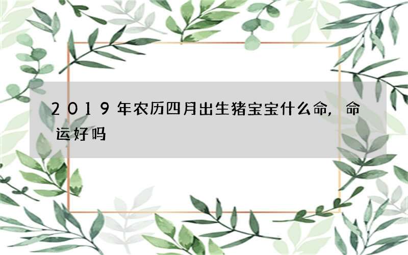 2019年农历四月出生猪宝宝什么命,命运好吗?