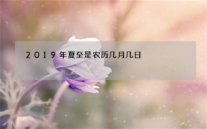 2019年夏至是农历几月几日