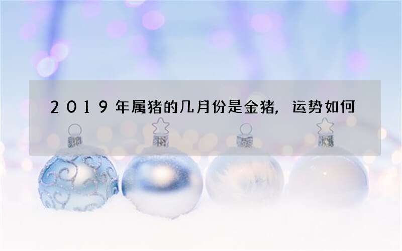 2019年属猪的几月份是金猪,运势如何