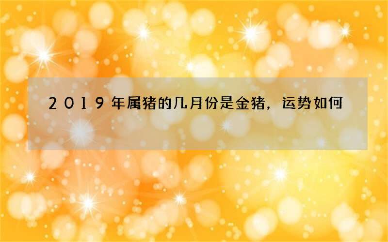 2019年属猪的几月份是金猪，运势如何