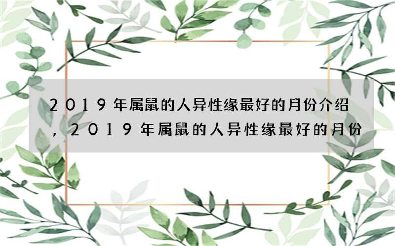 2019年属鼠的人异性缘最好的月份介绍,2019年属鼠的人异性缘最好的月份