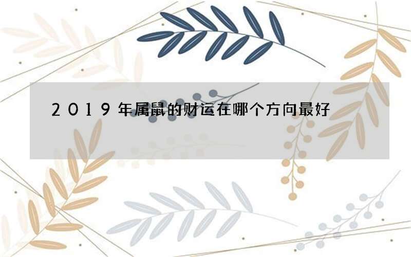 2019年属鼠的财运在哪个方向最好