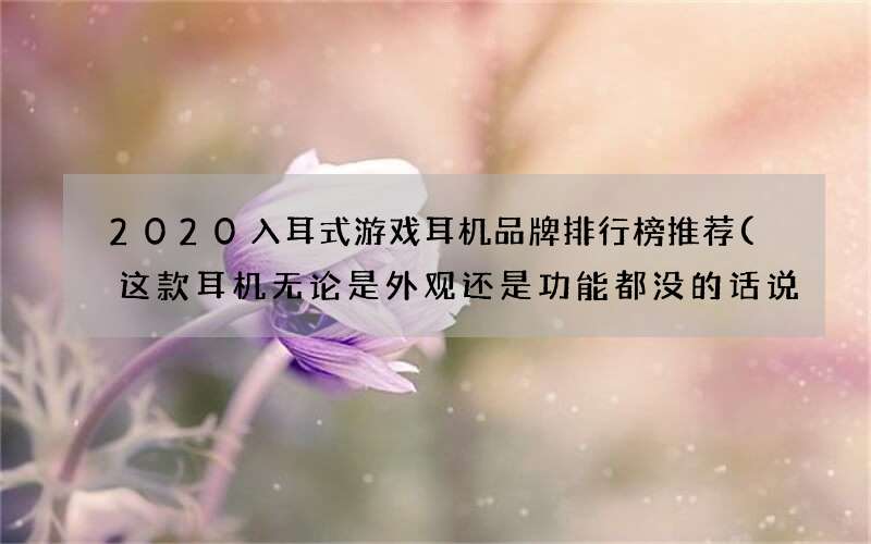 这款耳机无论是外观还是功能都没的话说 2020入耳式游戏耳机品牌排行榜推荐