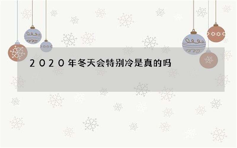 2020年冬天会特别冷是真的吗
