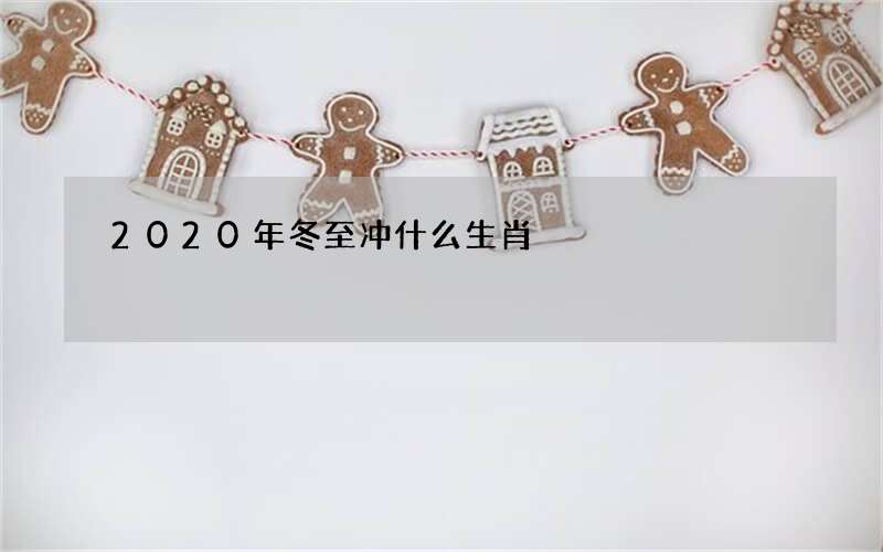 2020年冬至冲什么生肖
