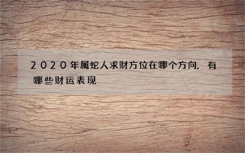 2020年属蛇人求财方位在哪个方向,有哪些财运表现