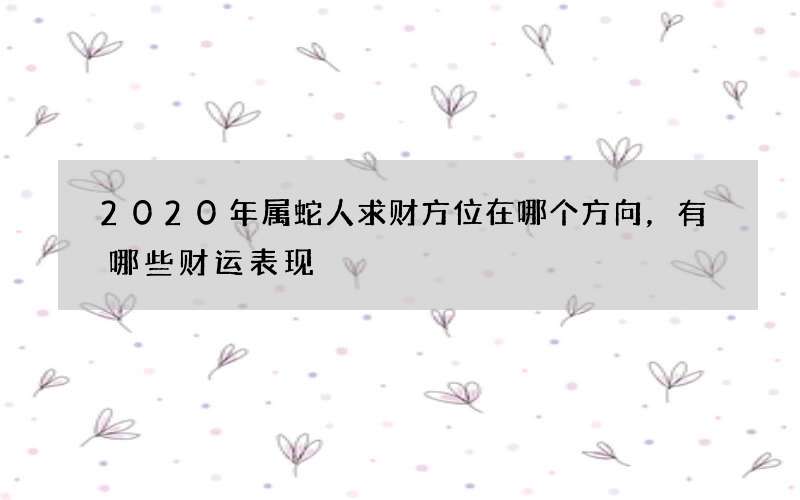 2020年属蛇人求财方位在哪个方向，有哪些财运表现