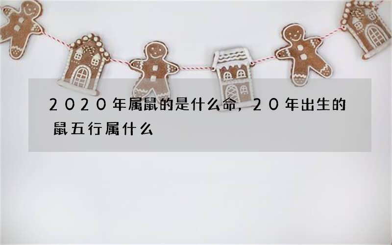 2020年属鼠的是什么命，20年出生的鼠五行属什么