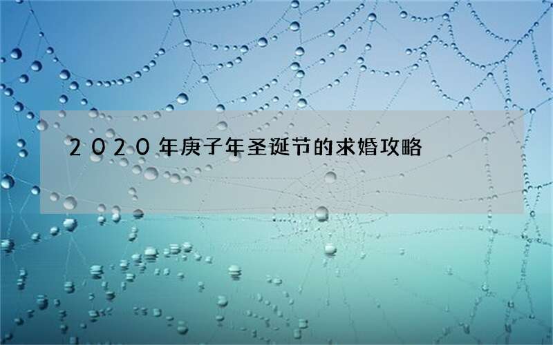 2020年庚子年圣诞节的求婚攻略