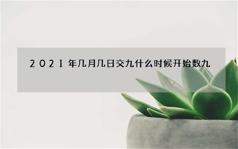 2021年几月几日交九什么时候开始数九