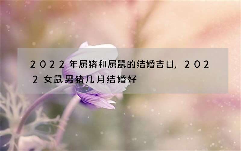 2022年属猪和属鼠的结婚吉日,2022女鼠男猪几月结婚好