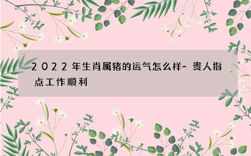 2022年生肖属猪的运气怎么样-贵人指点工作顺利