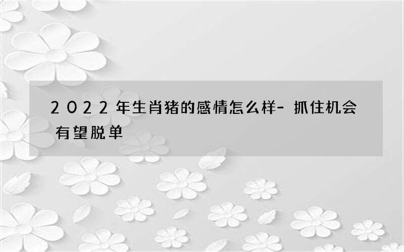 2022年生肖猪的感情怎么样-抓住机会有望脱单