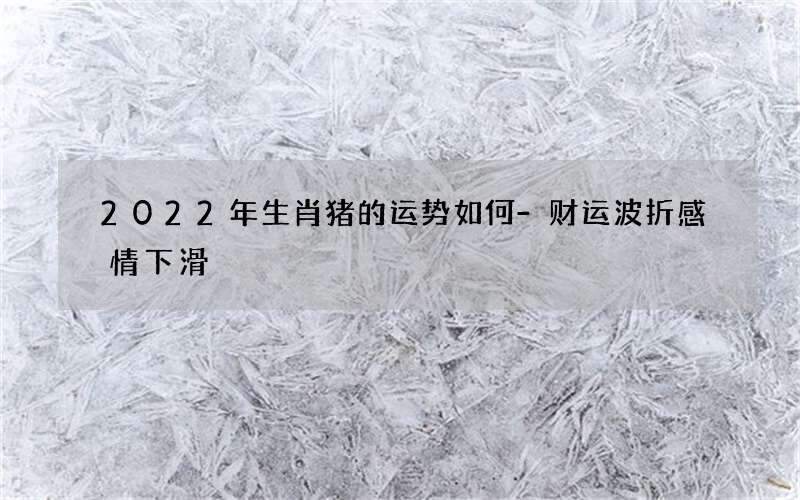 2022年生肖猪的运势如何-财运波折感情下滑