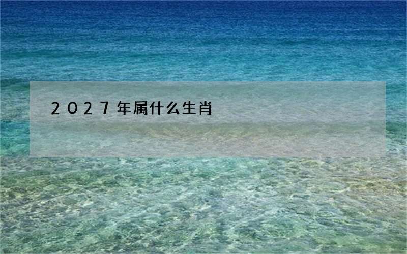 2027年属什么生肖