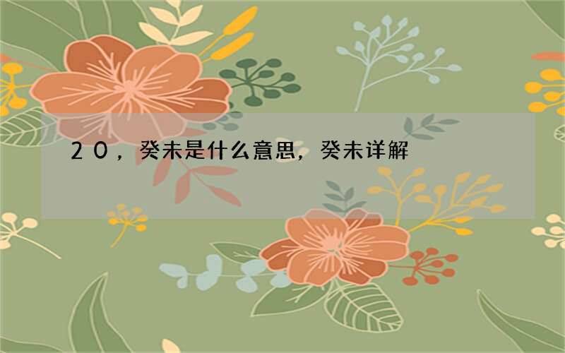 20，癸未是什么意思，癸未详解