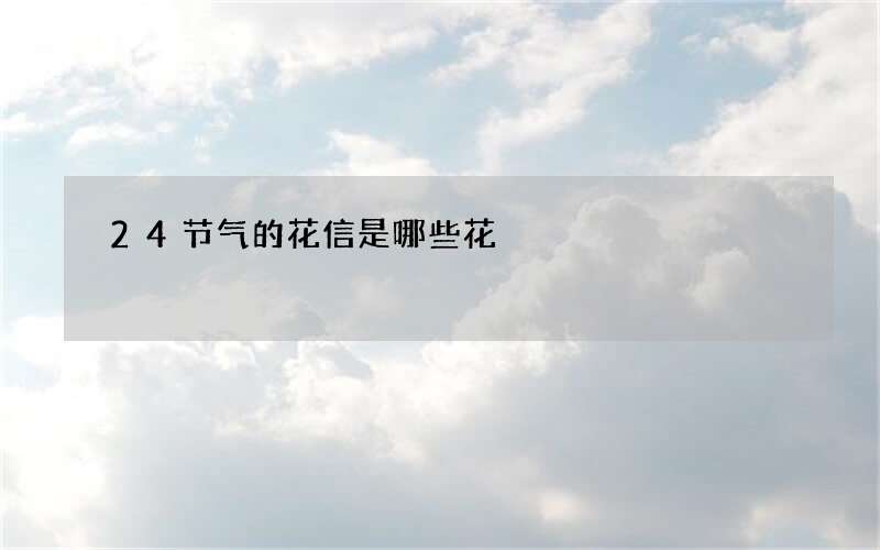 24节气的花信是哪些花