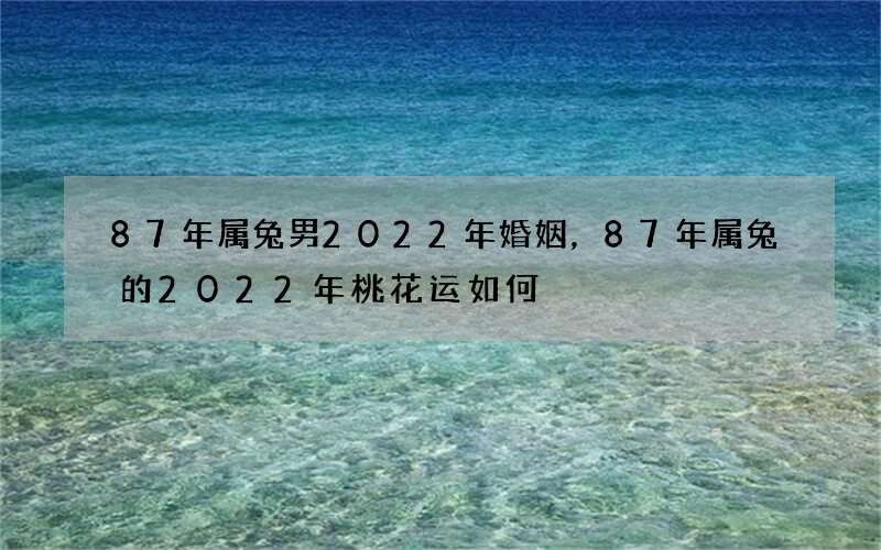 87年属兔男2022年婚姻，87年属兔的2022年桃花运如何