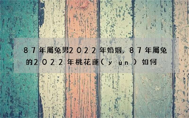 87年屬兔男2022年婚姻，87年屬兔的2022年桃花運(yùn)如何