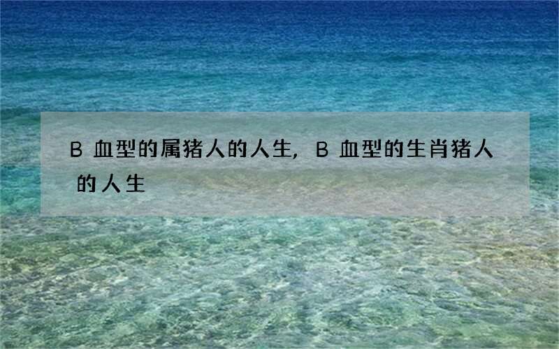 B血型的属猪人的人生,B血型的生肖猪人的人生