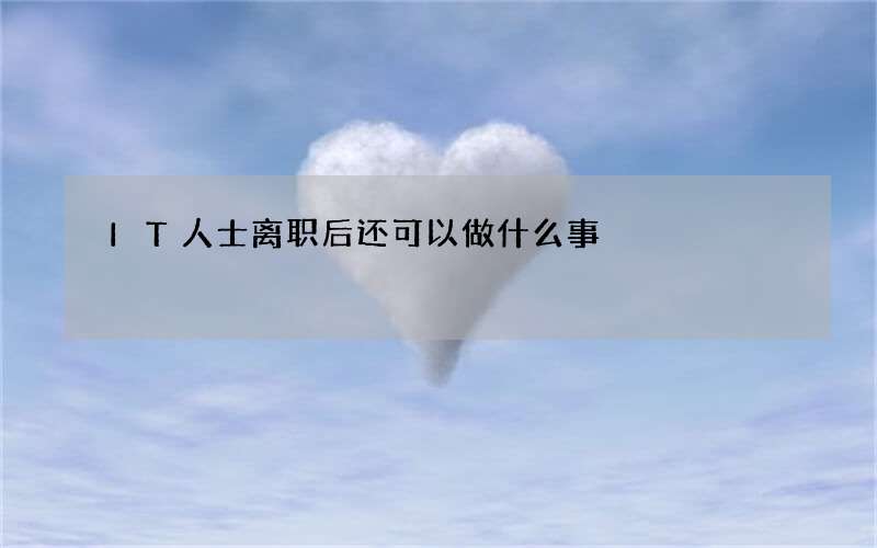 IT人士离职后还可以做什么事